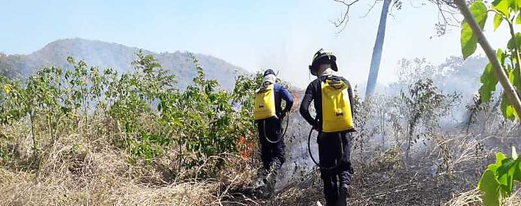 Ms de 3 mil incendios de masa vegetal en 2018