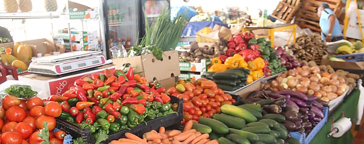 Alimentos clave para mantener la salud sea 