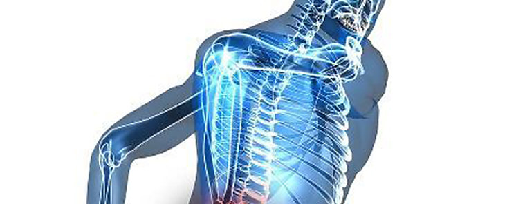 La citica Causa y tratamiento