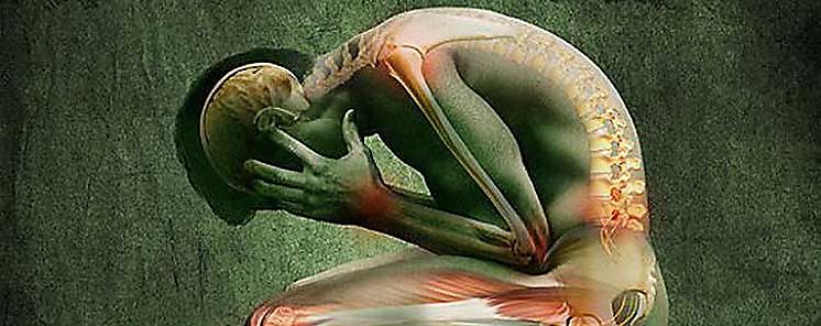 Cinco cambios que sufre tu cuerpo durante el da