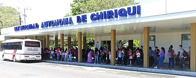 Hongos comestibles una fuente rica en protenas y con alto valor biolgico para fortalecer el sistema inmunolgico