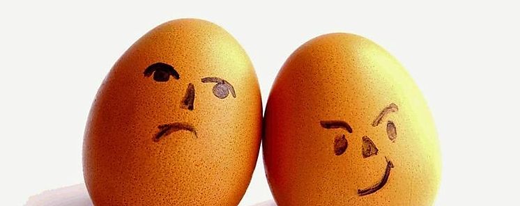 Un nuevo estudio cientfico advierte del peligro de consumo de huevos