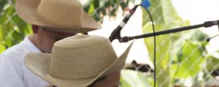 Da Internacional del Msico