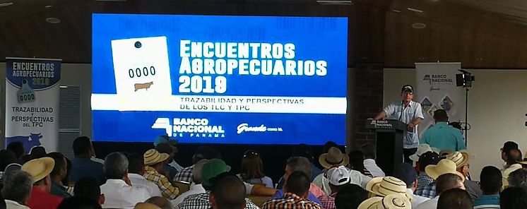 Productores de Cocl participan del Encuentro Agropecuario organizado por el Banco Nacional