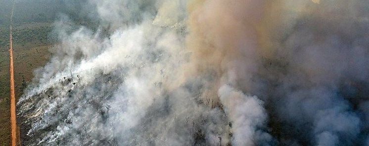 Actividad humana destruy un tercio de la Amazona
