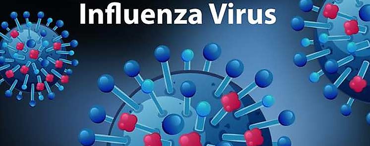 Vacunacin contra coinfeccin por COVID19 e influenza