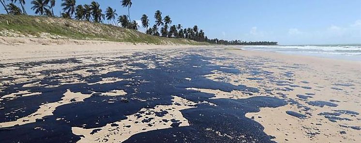 Vertido de petróleo ya afecta a más de 650 playas de la costa de Brasil Vertido de petróleo ya afecta a más de 650 playas de la costa de Brasil