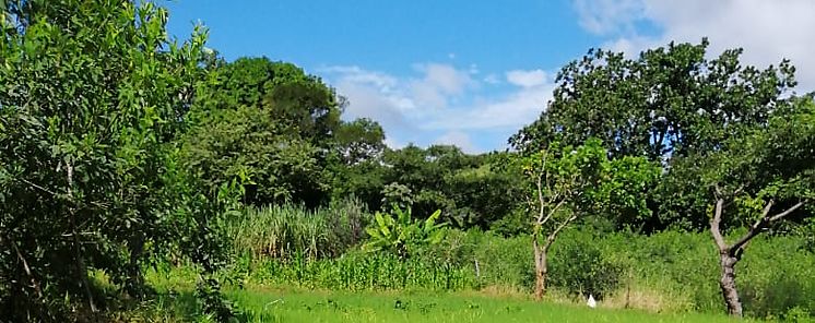 Gira Tecnica a Proyectos Acuicolas ARAP MIDES SENAPAN 
