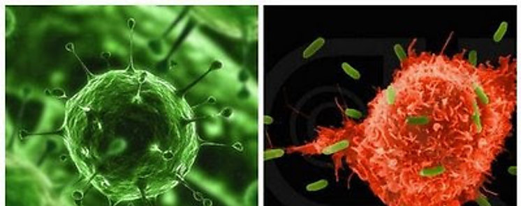 Facebook y los rumores sobre el coronavirus