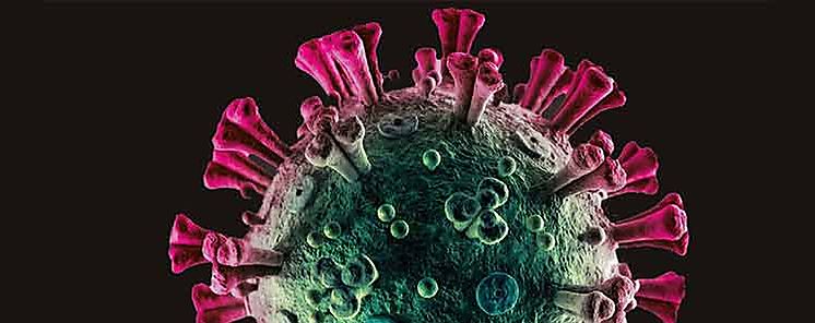 12 rumores ms comunes que han surgido a raz de la pandemia del COVID19 