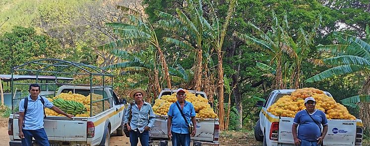 El agro da un paso al frente