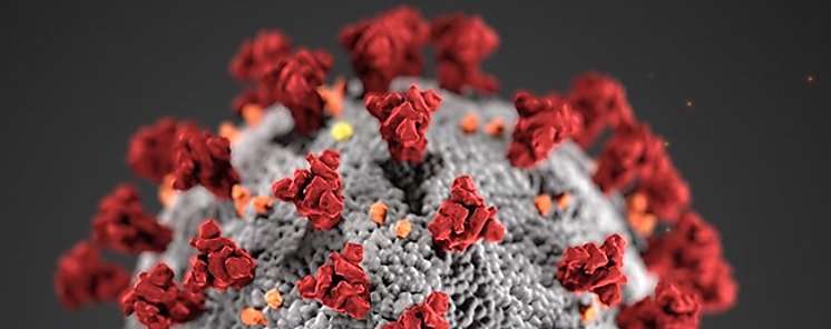 Tasa de mortalidad de COVID19 diez veces mayor que la de la gripe