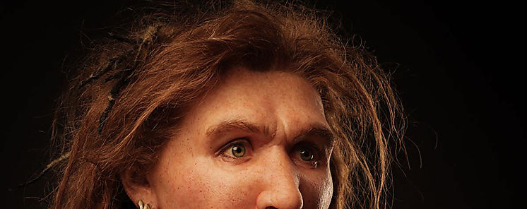 Las mujeres tambin cazaban animales grandes en la prehistoria