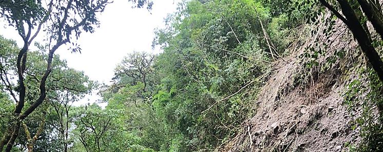 Proteccin ambiental y el papel ciudadano 