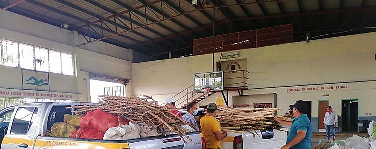Nueve corregimientos de Veraguas son beneficiados con los proyectos de Inclusin productiva