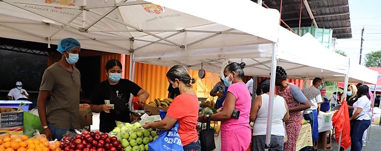 Ferias Alimentos RIMMU en los corregimientos del Distrito de Panam