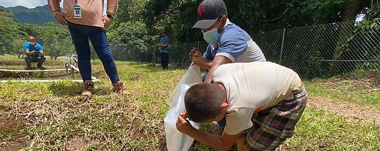 Entregan 2600 alevines a grupos organizados de Senapan