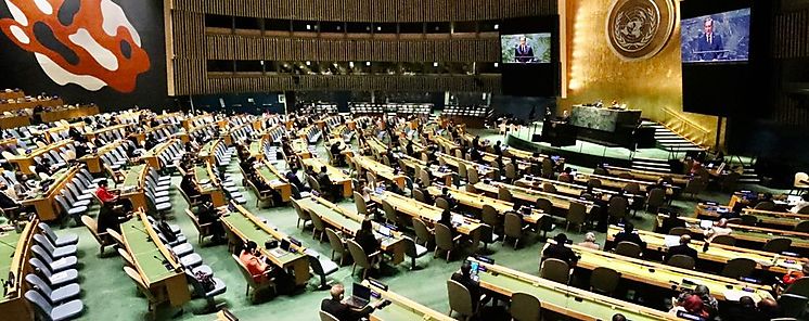 Mujeres panameas liderarn negociaciones en la COP 26