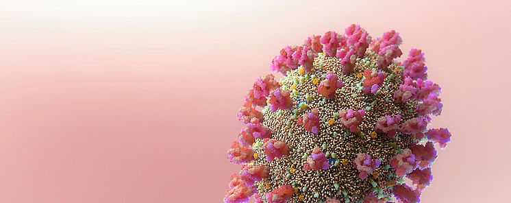 Subvariante de micron tensa situacin sanitaria en China
