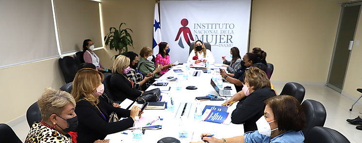 Primera reunin ordinaria del ao del Comit Nacional Contra la Violencia en la Mujer