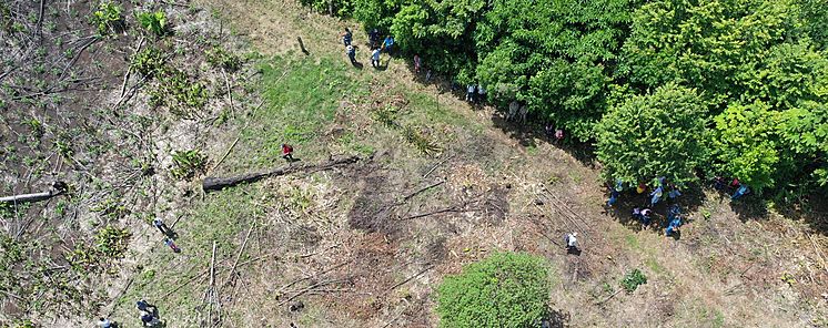 Mes de la Restauracin Forestal Darin inicia plantando ms 600 rboles