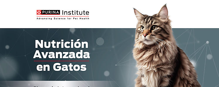 Innovacin en nutricin felina veterinarios pueden participar gratuitamente del Simposio Internacional de Purina 2025