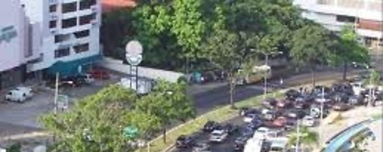 Investigadores explican por qu ruido de trfico induce enfermedad cardiac