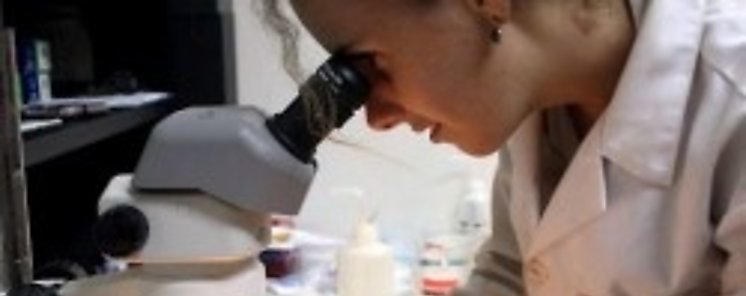 Hormonas sexuales definen diferencias entre hombres y mujeres
