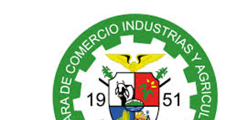logo camchi