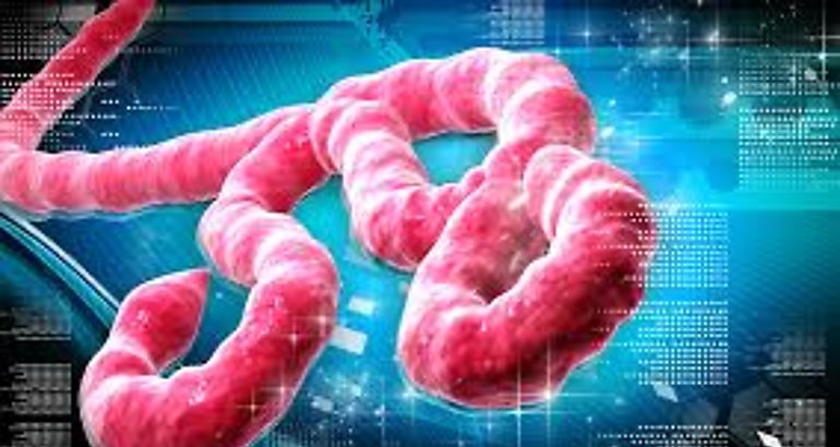 virus del ebola