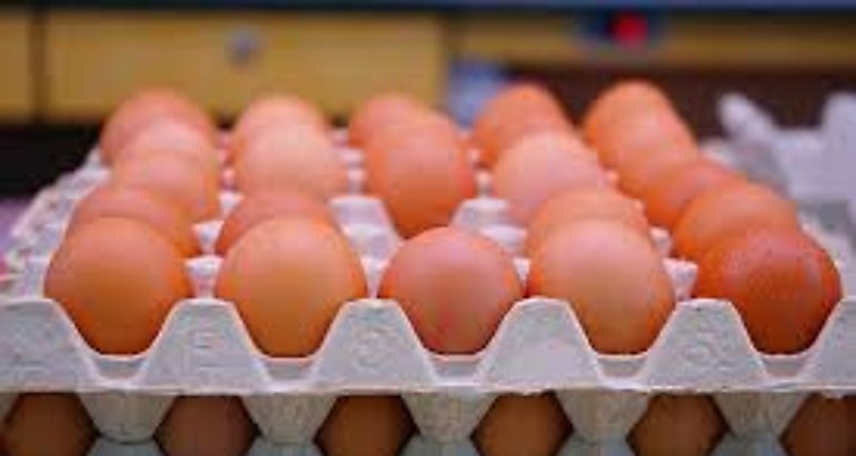 Huevos