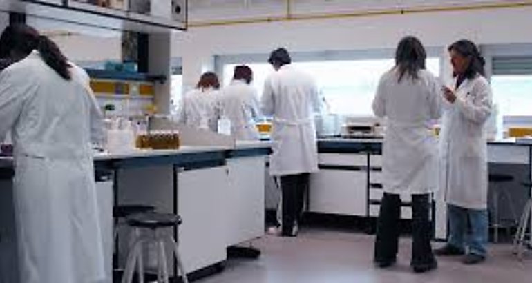 Cientificos