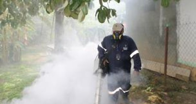 Fumigar 