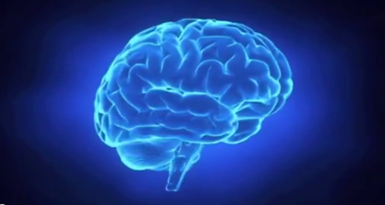 Cerebro