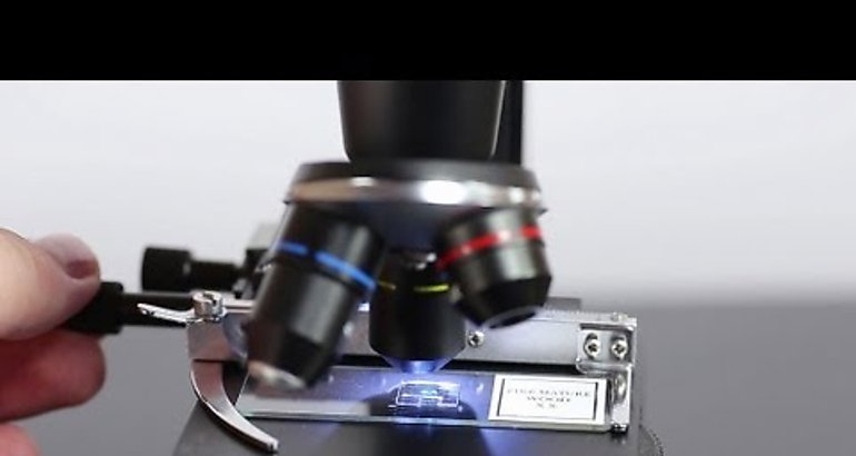 Microscopio