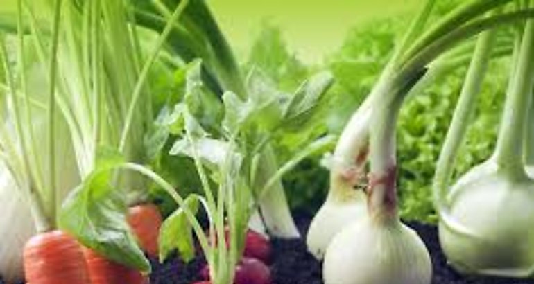 sector  agricolas