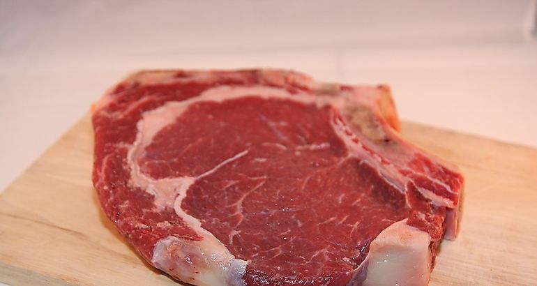 Carne