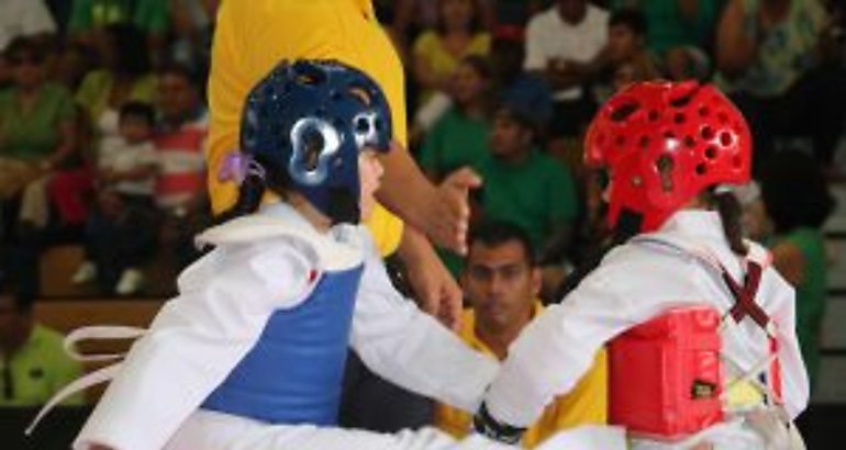 Taekwondo