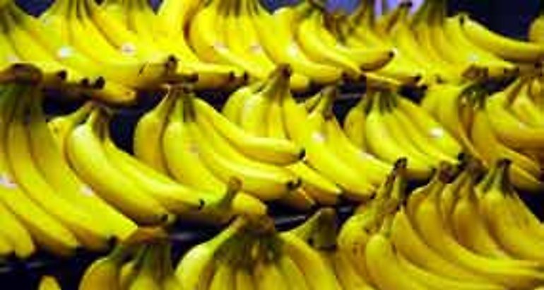 Platano