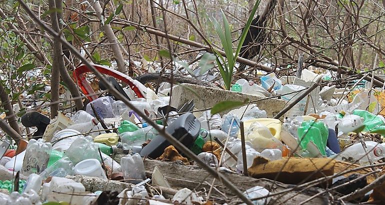 Basura en manglar