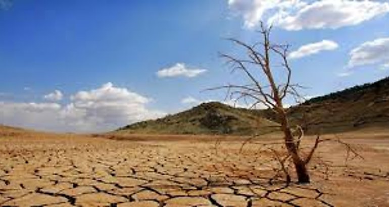 cambio climatico desierto
