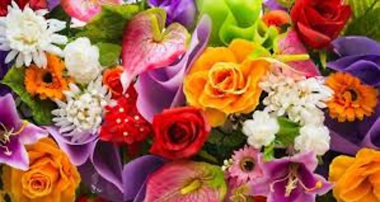 flores