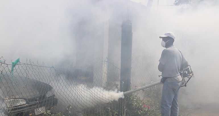 Fumigar 