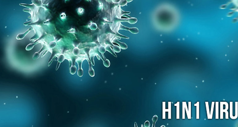 Influenza AH1N1