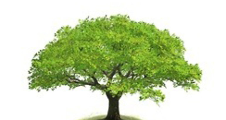 Planeta Medio Ambiente