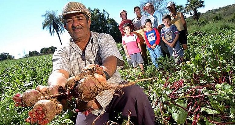 Agricultura Familiar