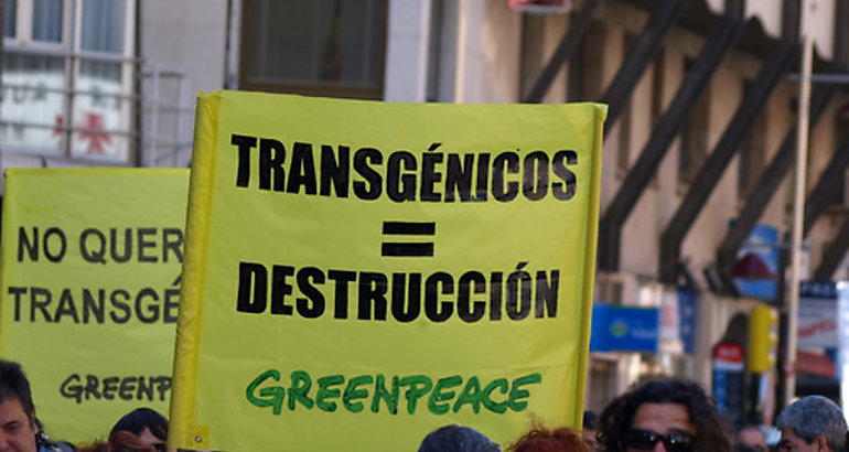 Transgenicos