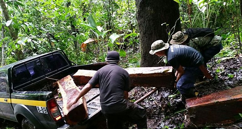 Tucas de madera