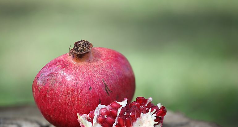 Granada fruta