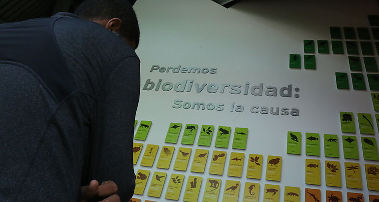 gira educativa en el Bio Museo Biodiversidad